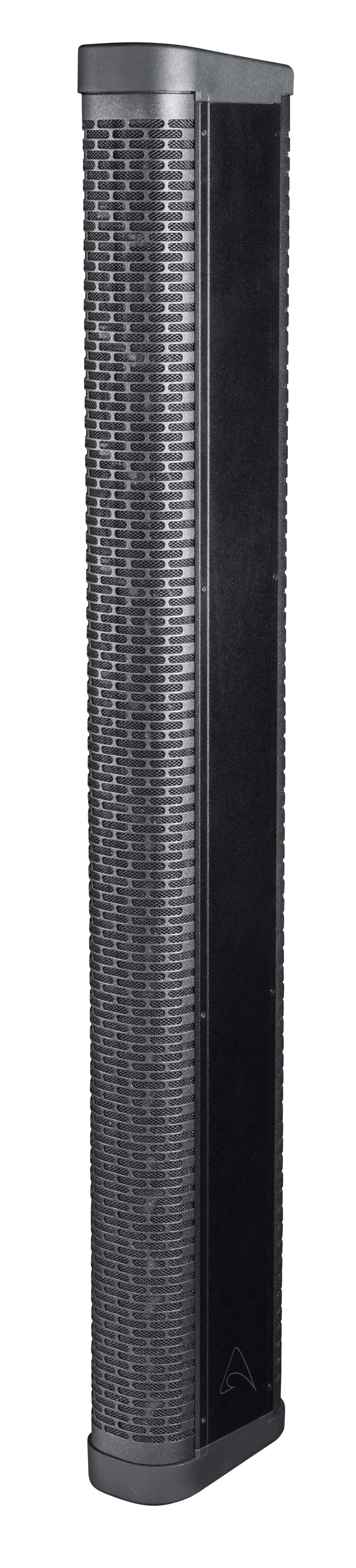 Axiom AX12C 12 x 3.5", Passive, High-Power, Portable Line Array Element (Black)