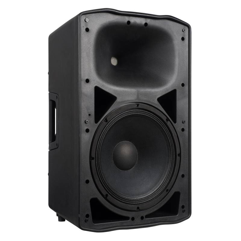 Axiom FL120A 12" Two-Way Powered Point Source Louspeaker