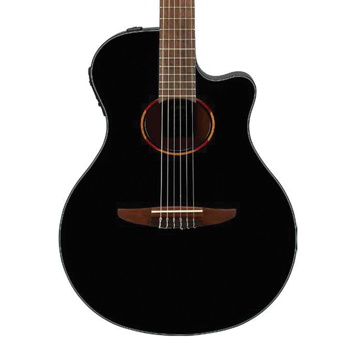 Acoustic/Electric Steel