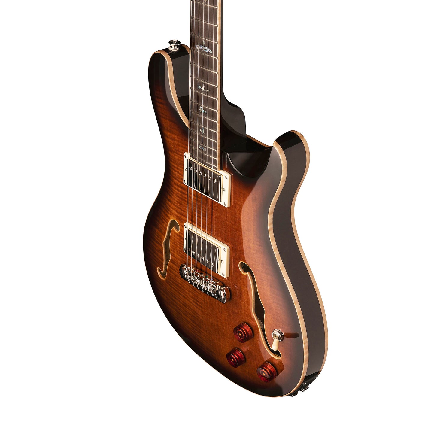 Electric Guitar/Hollowbody