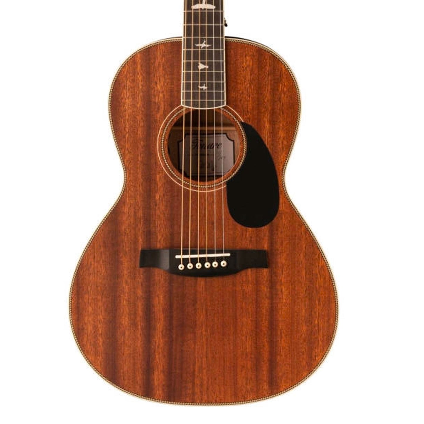 Acoustic/Electric Steel