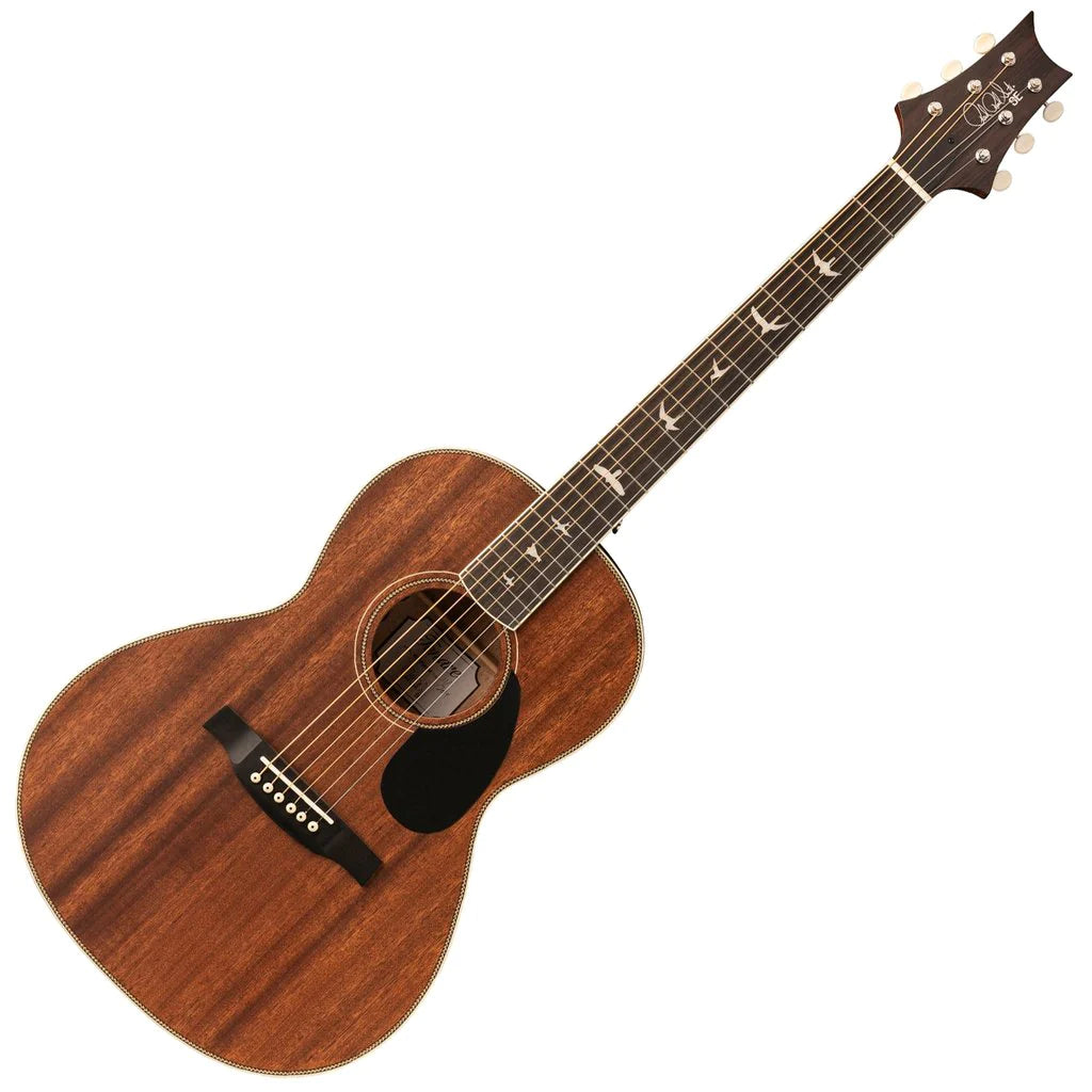 Acoustic/Electric Steel