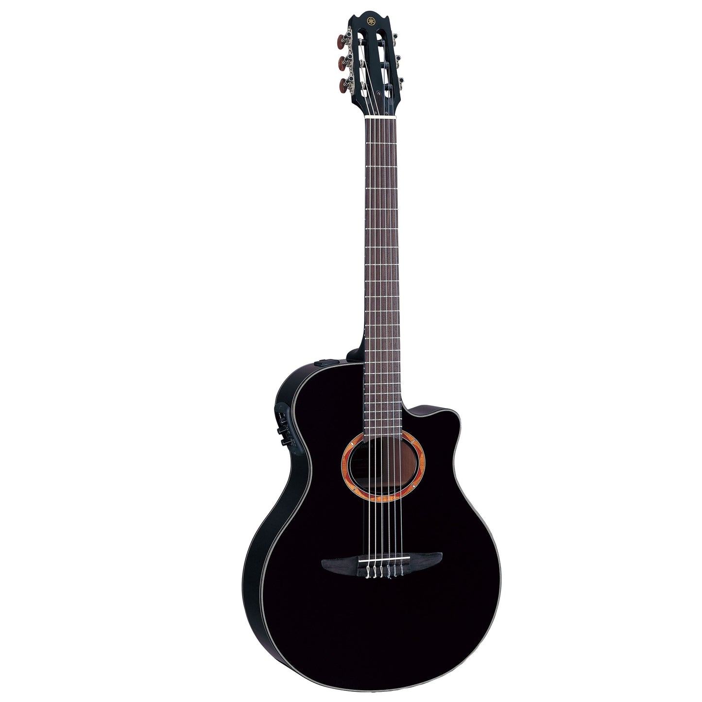 Acoustic/Electric Steel