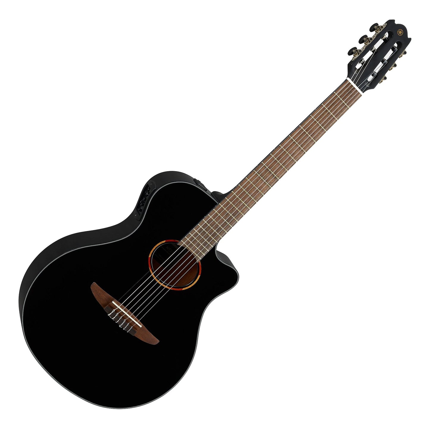 Acoustic/Electric Steel