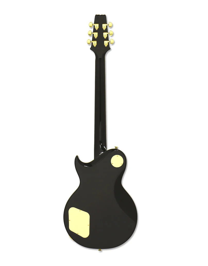 Aria Pro II PE-350PF