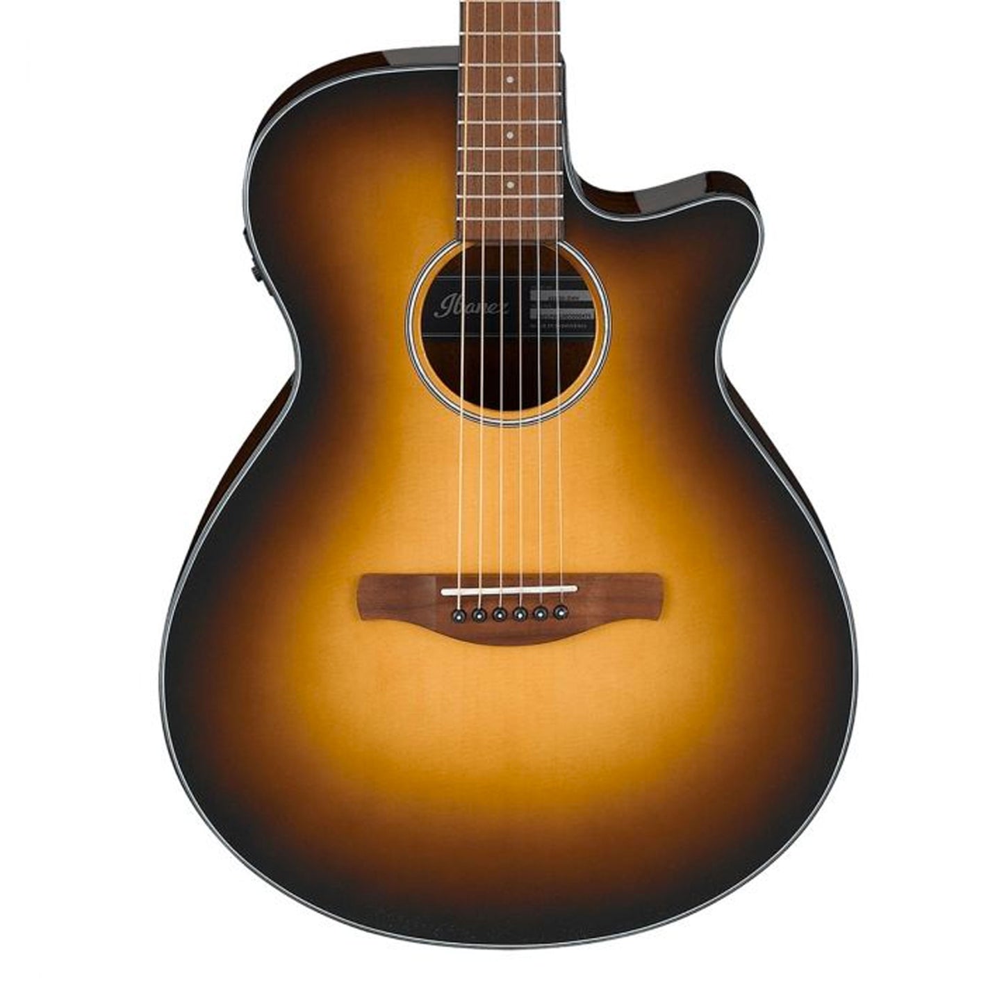 Acoustic/Electric Steel