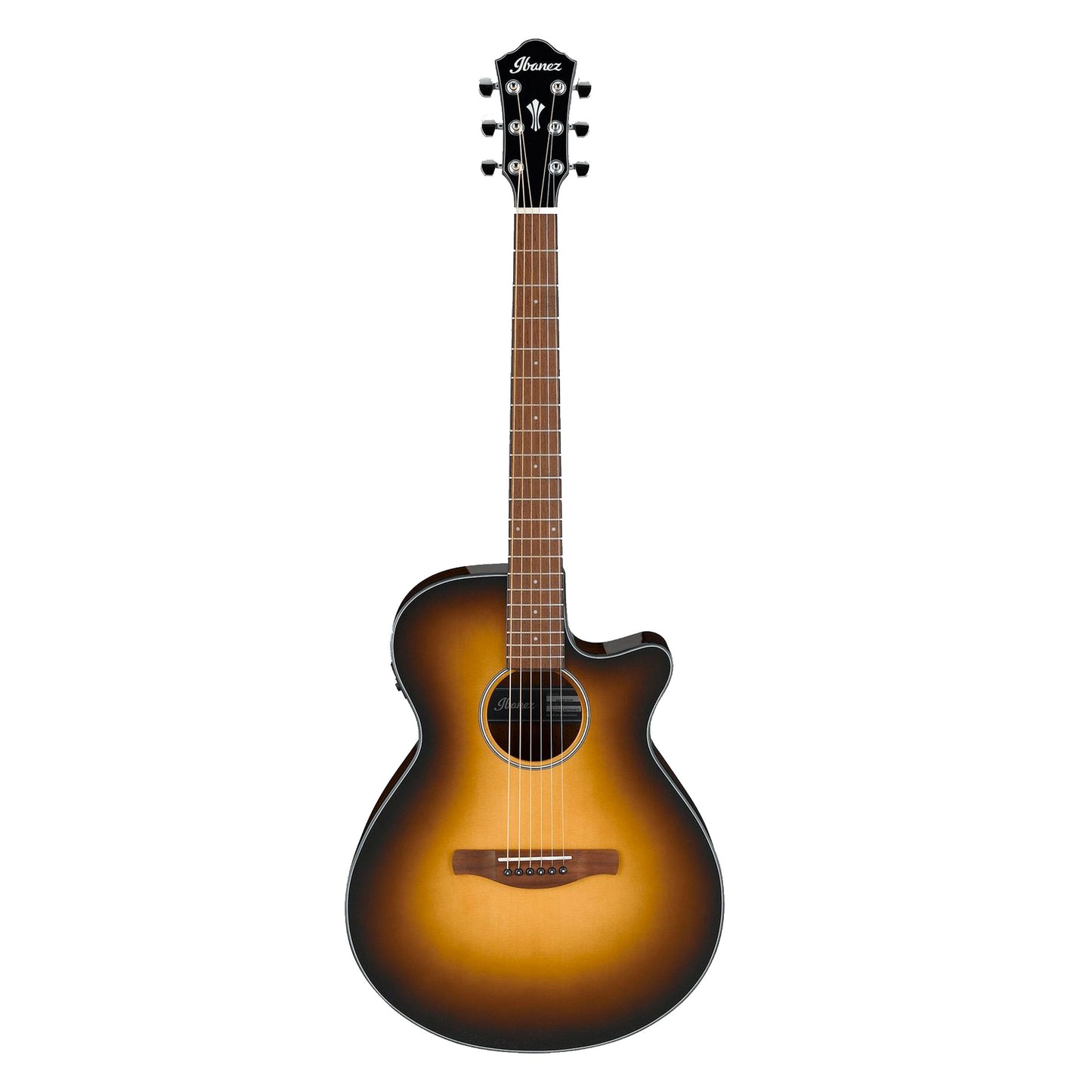 Acoustic/Electric Steel