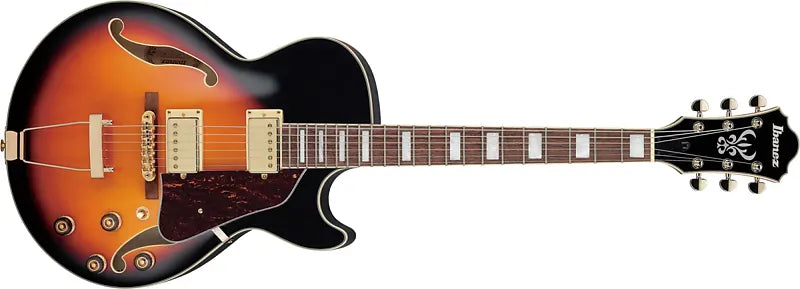 Electric Guitar/Hollowbody