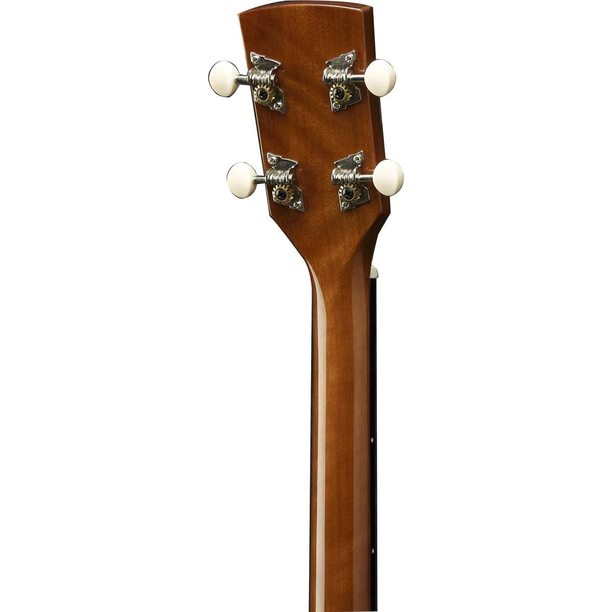 Ibanez PFT2 Tenor Acoustic Guitar in Natural High Gloss