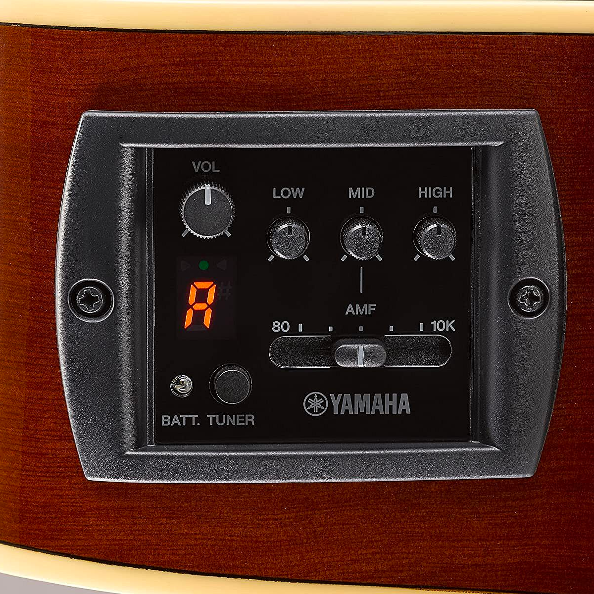 Acoustic/Electric Steel