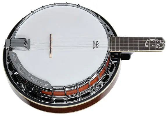 Ibanez - B200 Banjo - Risko Music