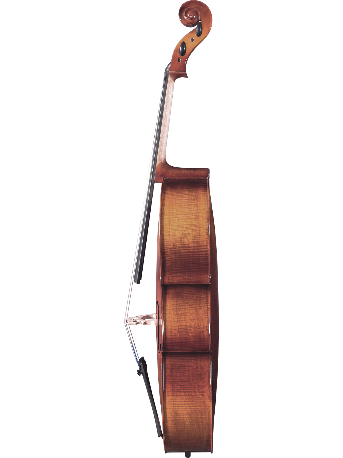 Maple Leaf Strings Model 110 Cello Outfit