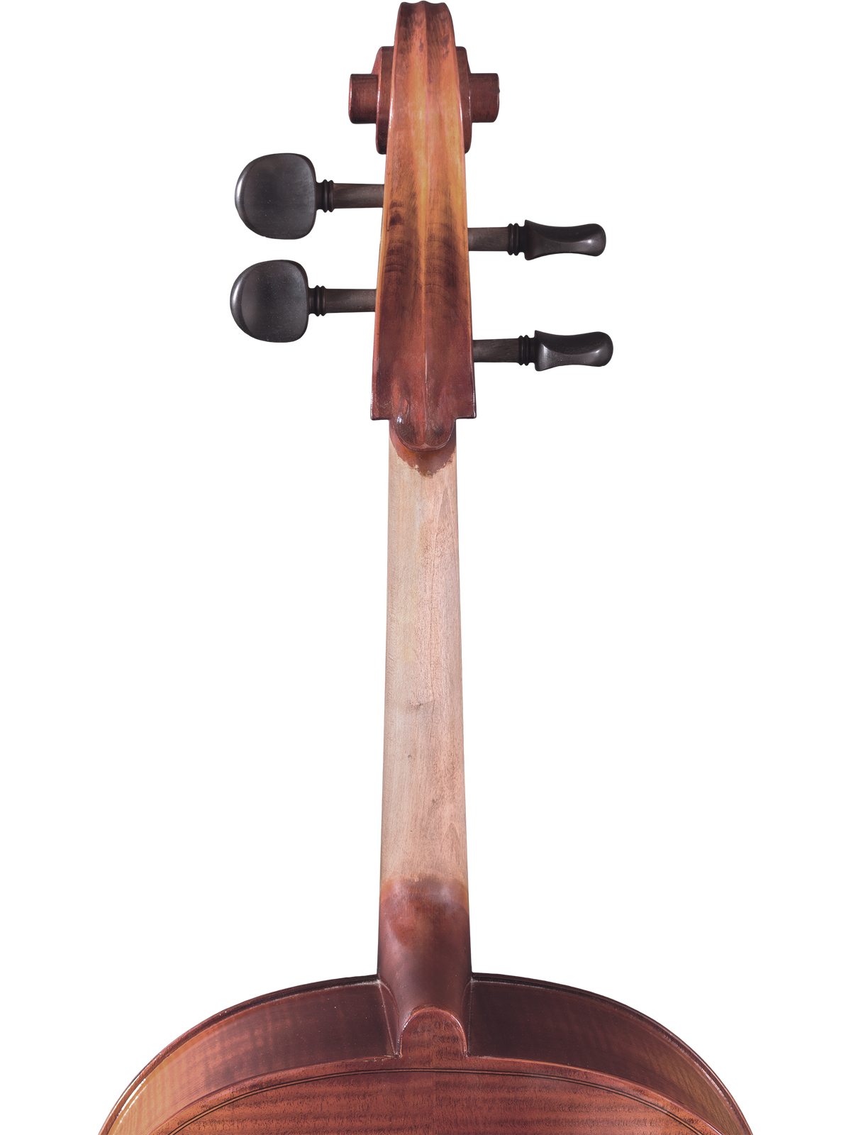 Maple Leaf Strings Model 110 Cello Outfit