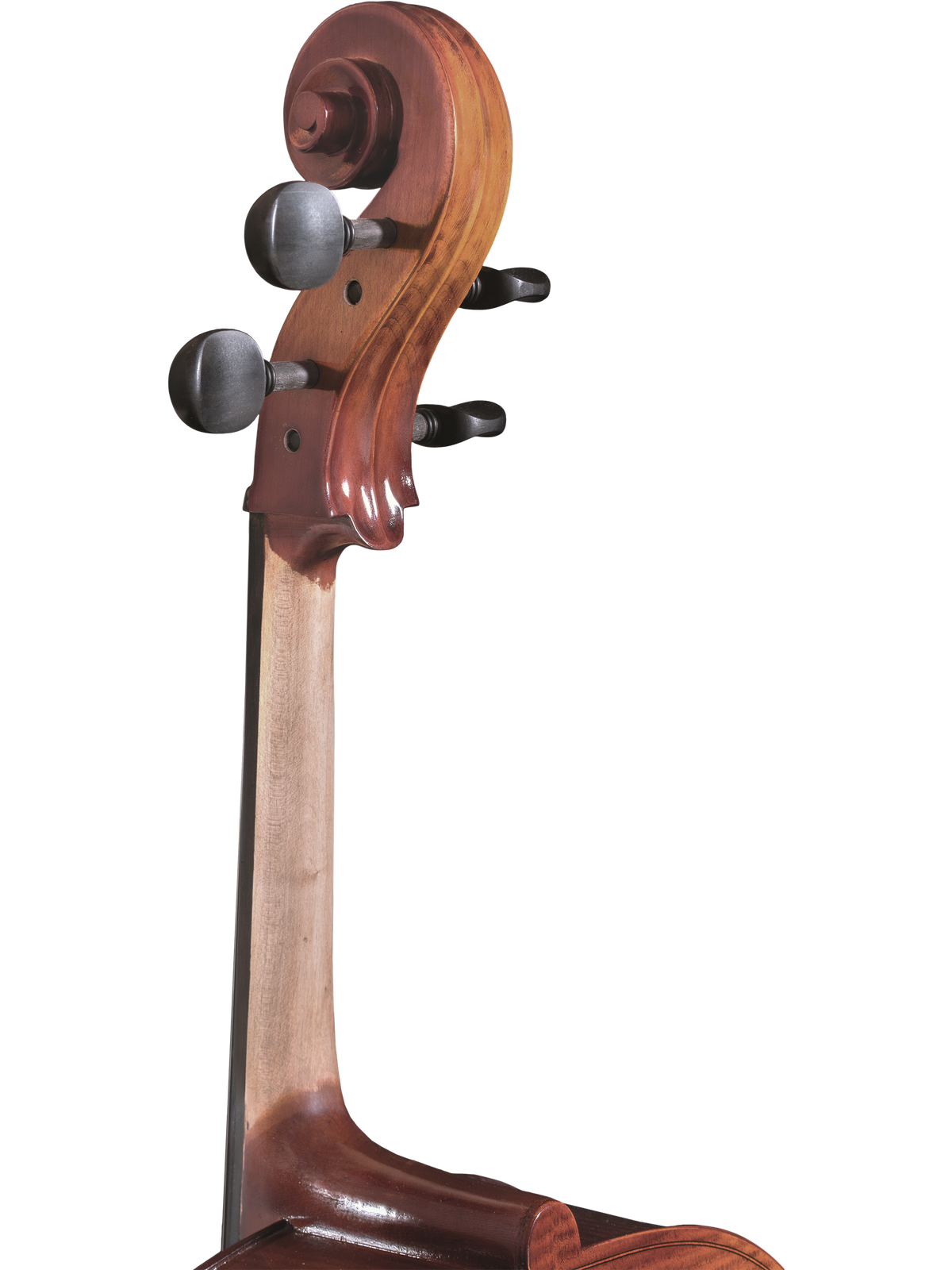 Maple Leaf Strings Model 110 Cello Outfit