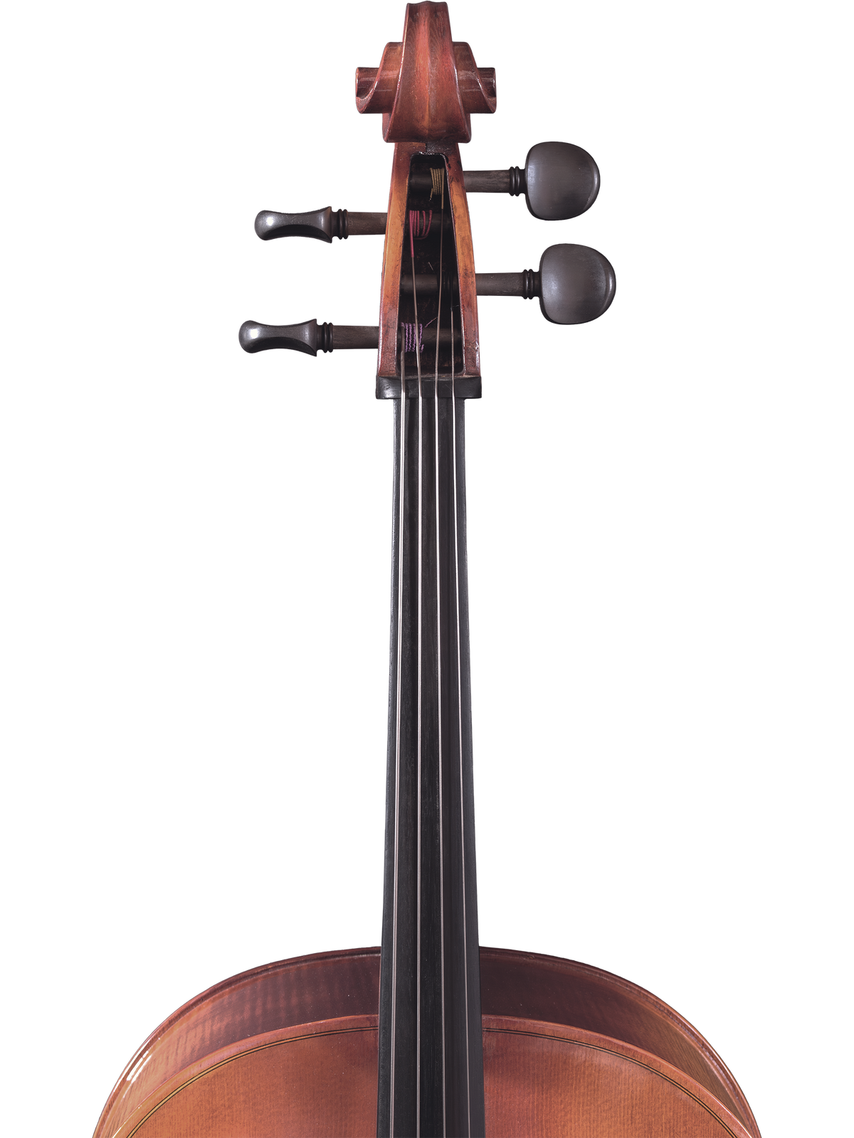 Maple Leaf Strings Model 110 Cello Outfit