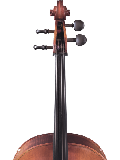 Maple Leaf Strings Model 110 Cello Outfit