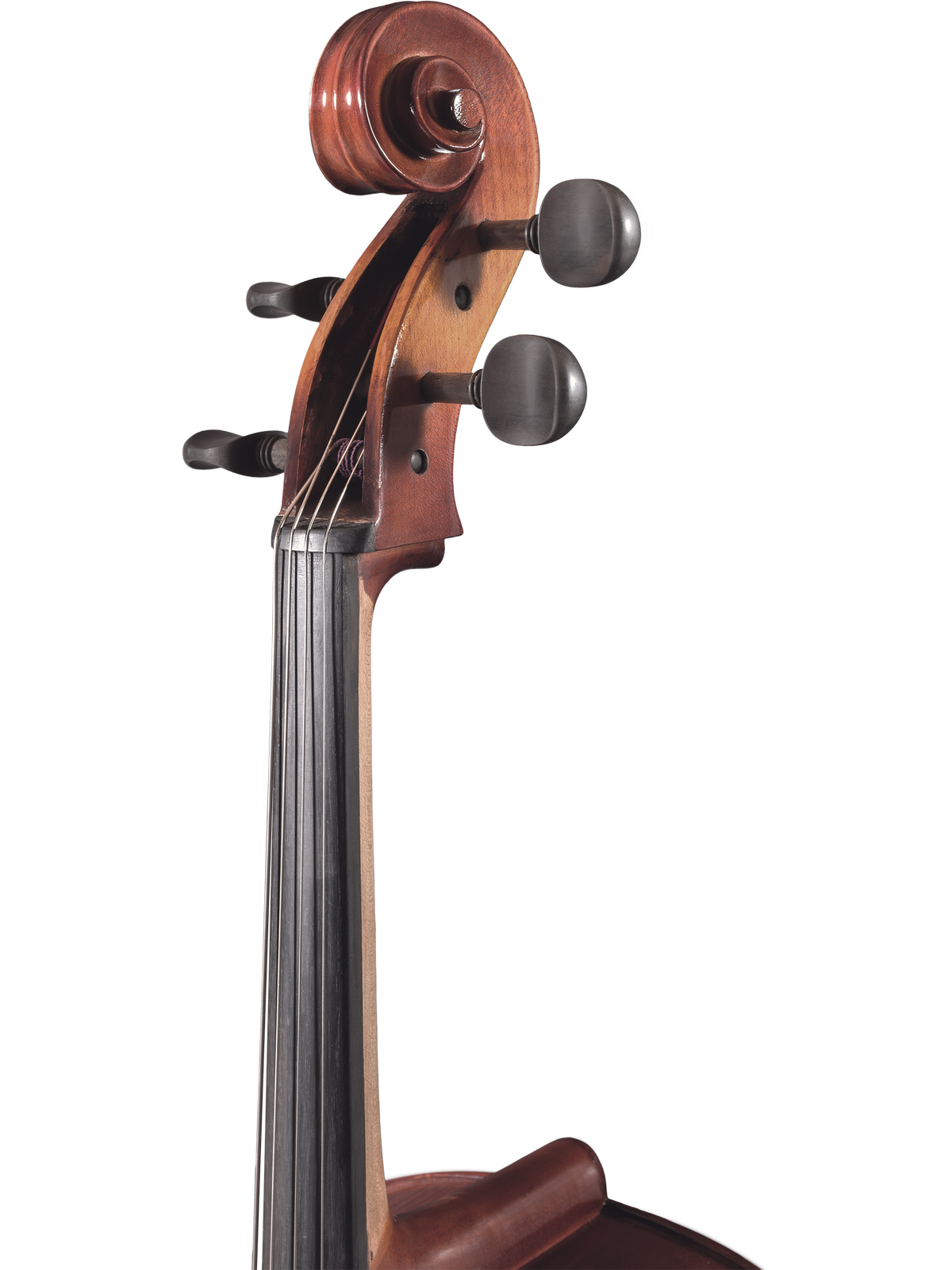 Maple Leaf Strings Model 110 Cello Outfit