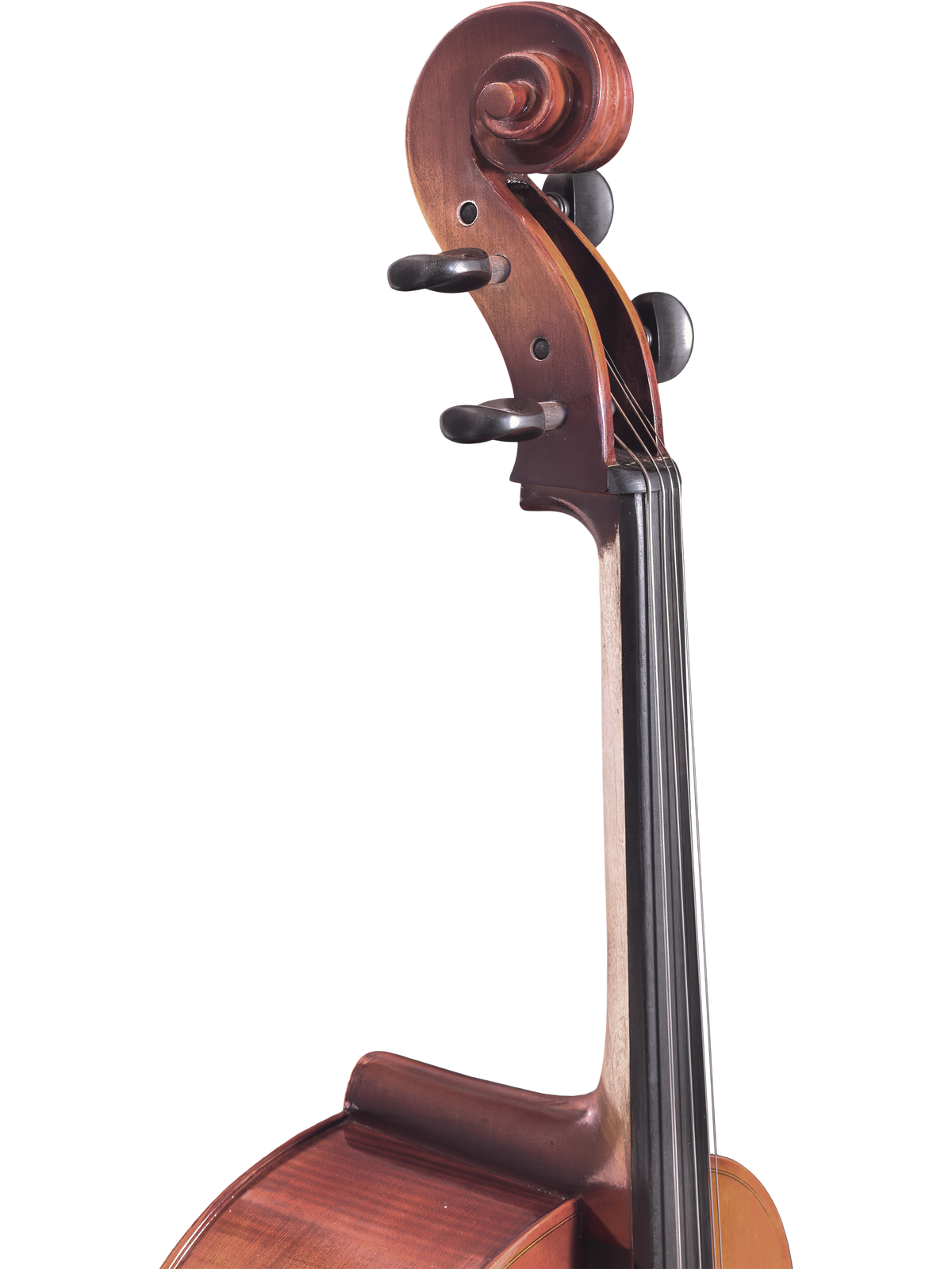 Maple Leaf Strings Model 110 Cello Outfit