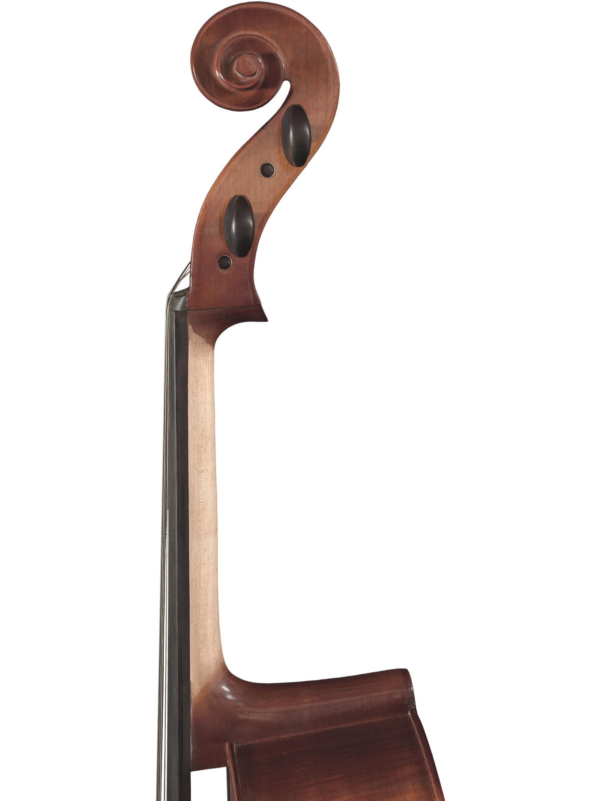 Maple Leaf Strings Model 110 Cello Outfit