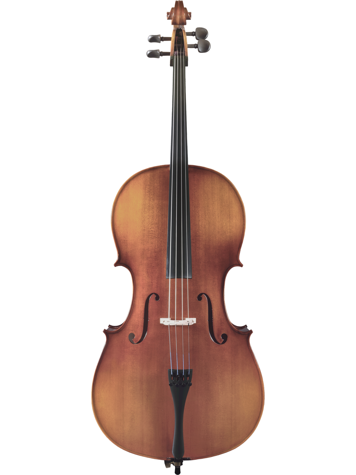 Maple Leaf Strings Model 120 Cello Outfit