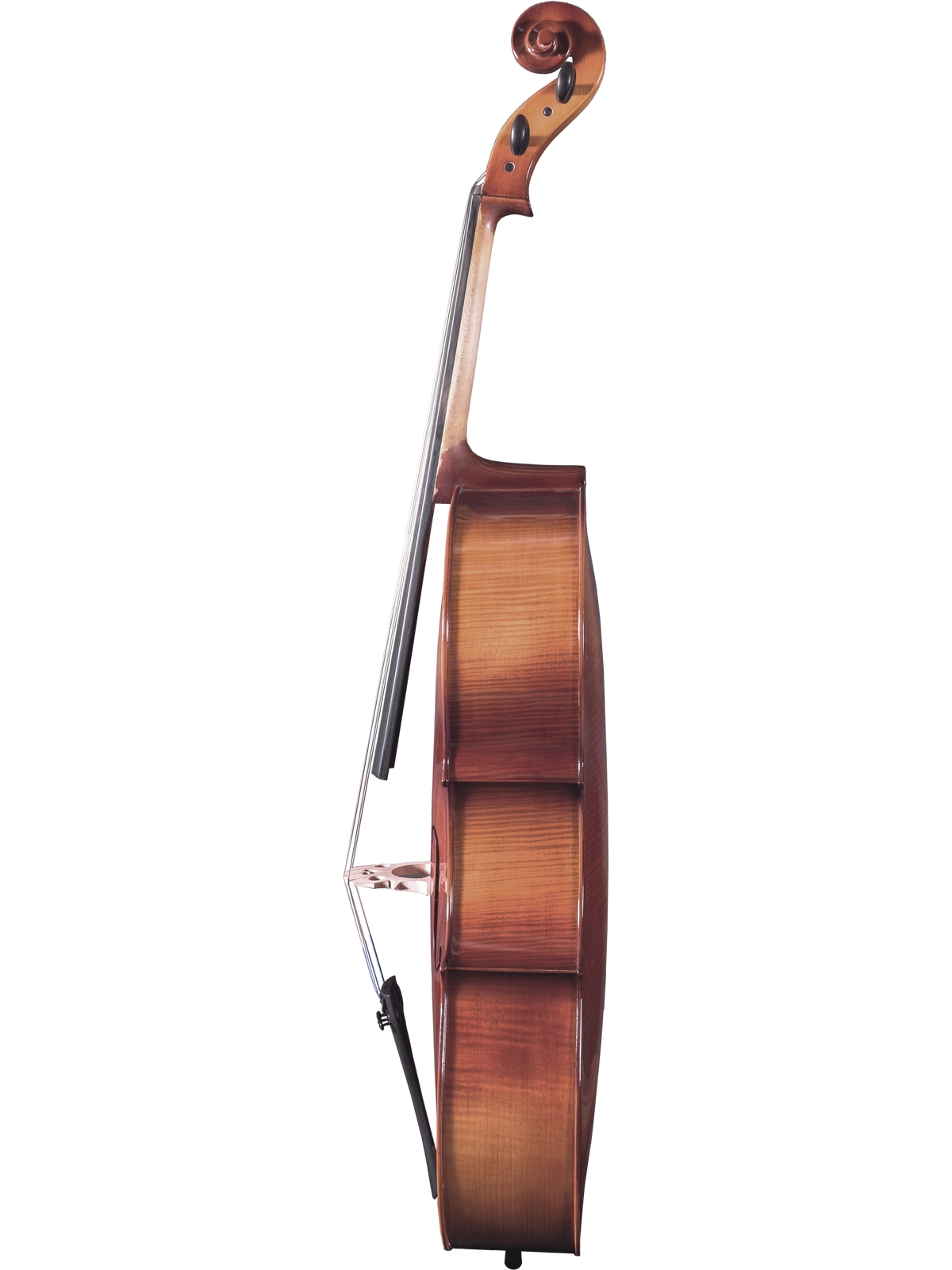 Maple Leaf Strings Model 120 Cello Outfit