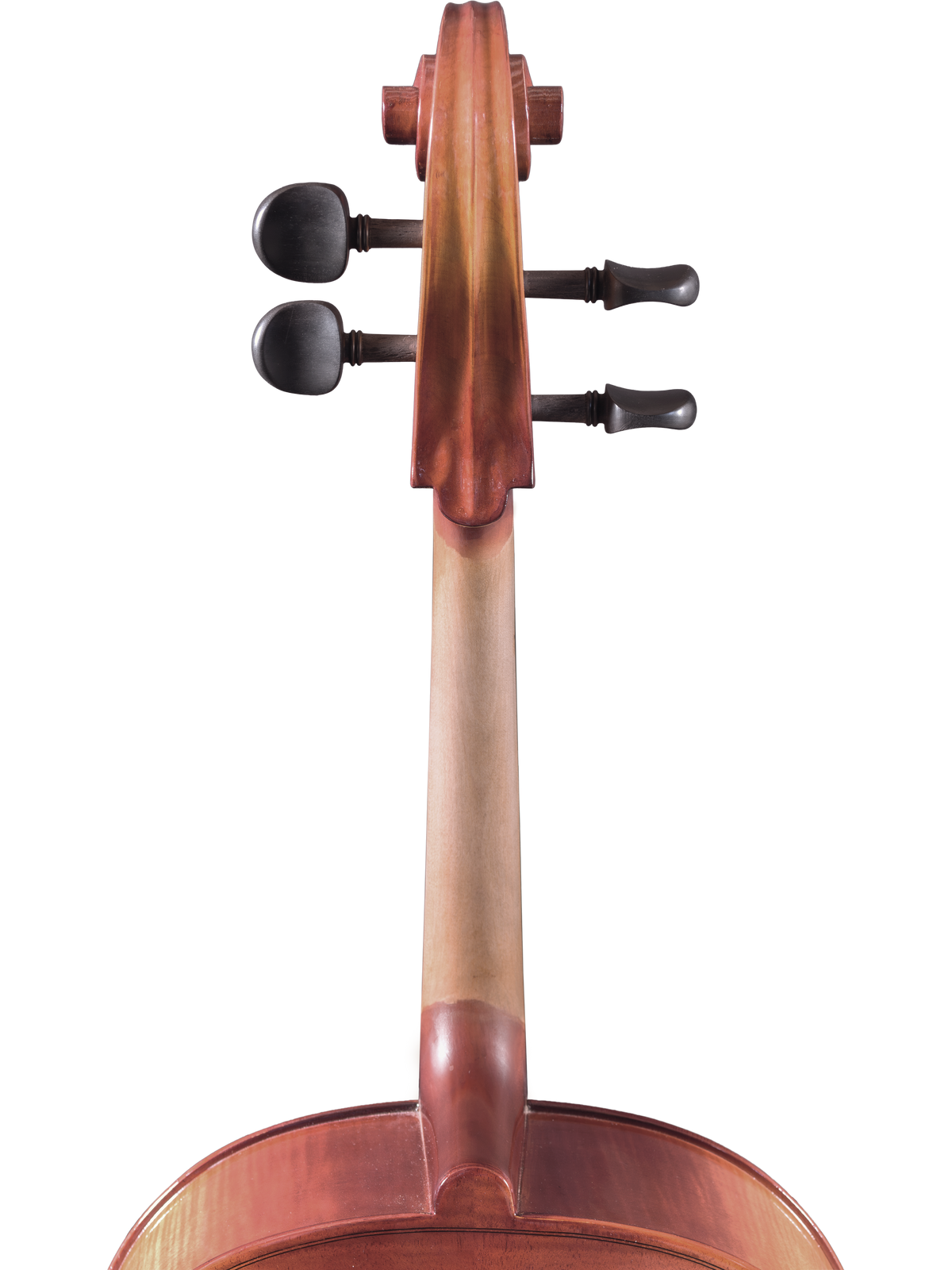 Maple Leaf Strings Model 120 Cello Outfit