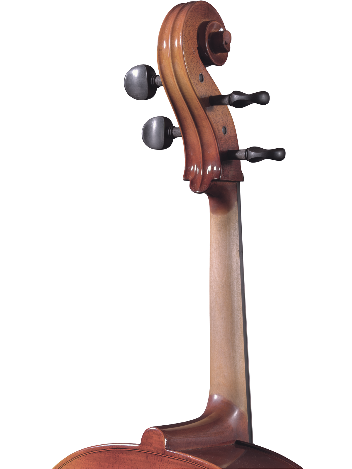 Maple Leaf Strings Model 120 Cello Outfit