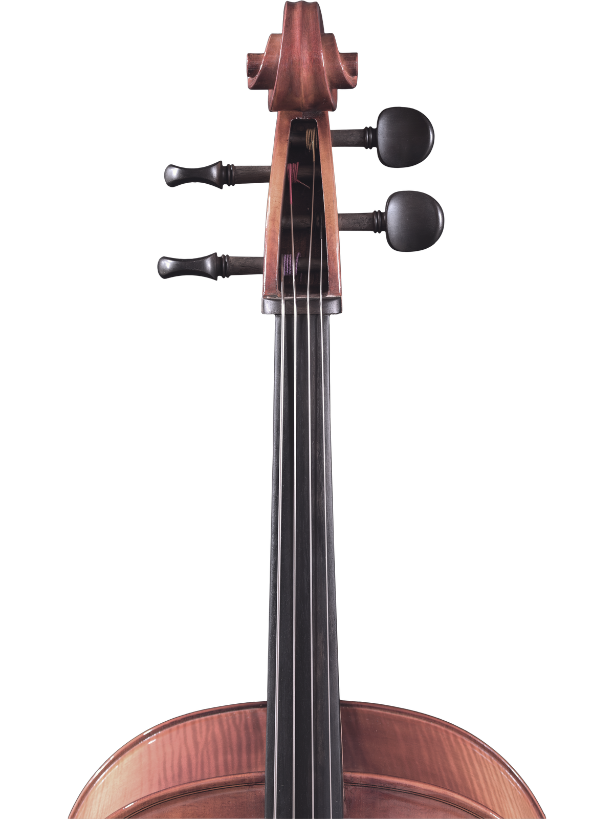 Maple Leaf Strings Model 120 Cello Outfit