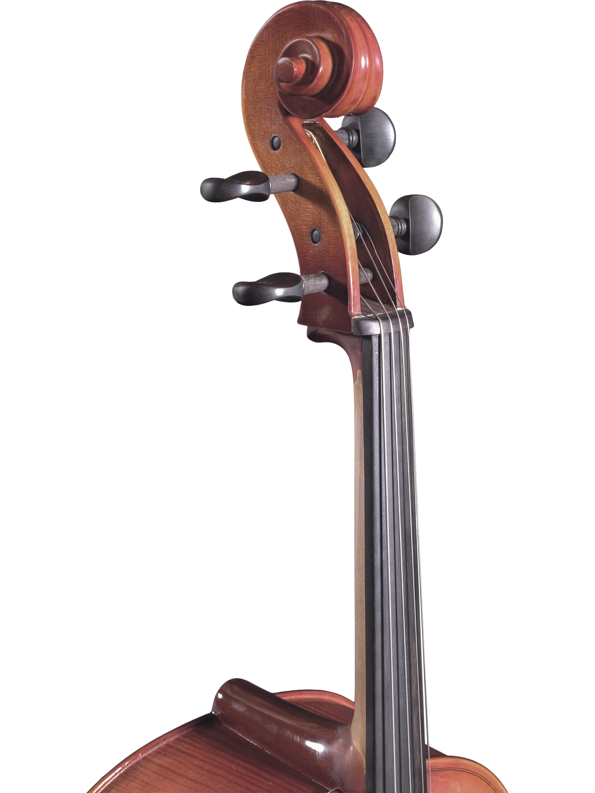 Maple Leaf Strings Model 120 Cello Outfit