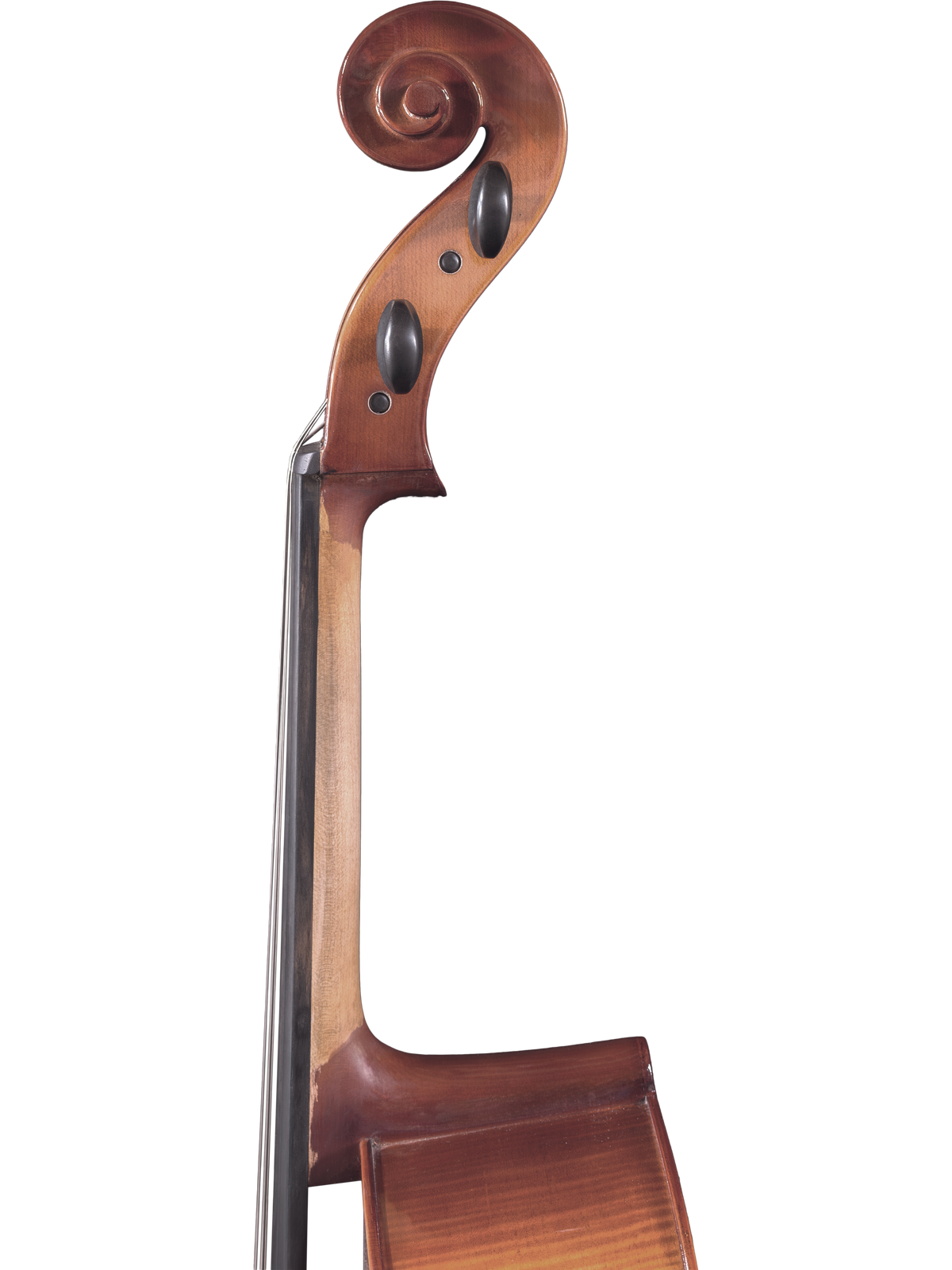 Maple Leaf Strings Model 120 Cello Outfit