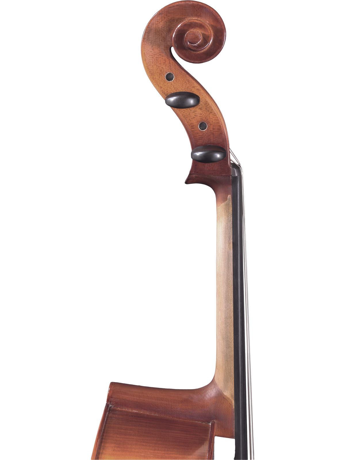 Maple Leaf Strings Model 120 Cello Outfit