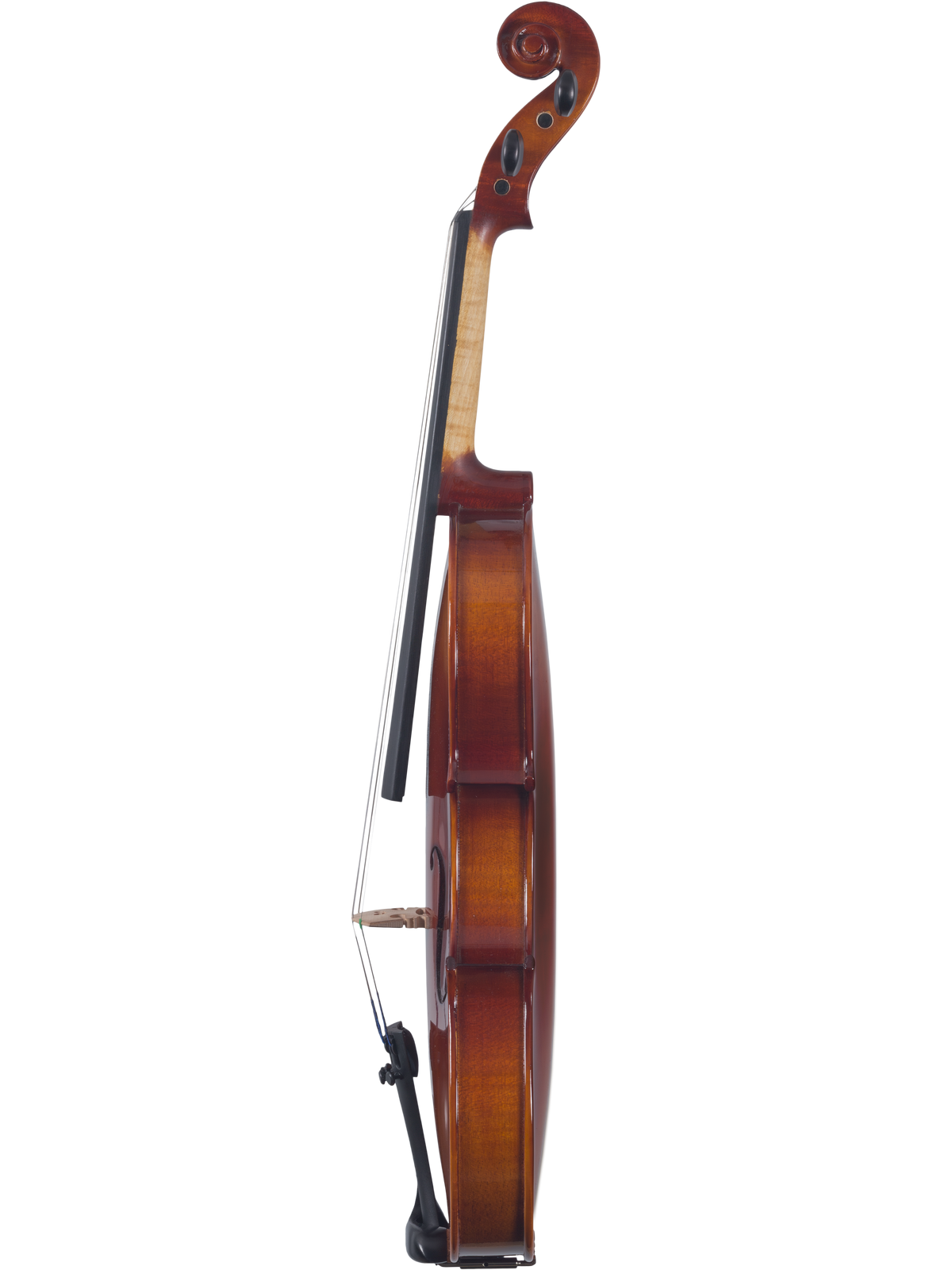 Maple Leaf Strings Model 120 Violin Outfit