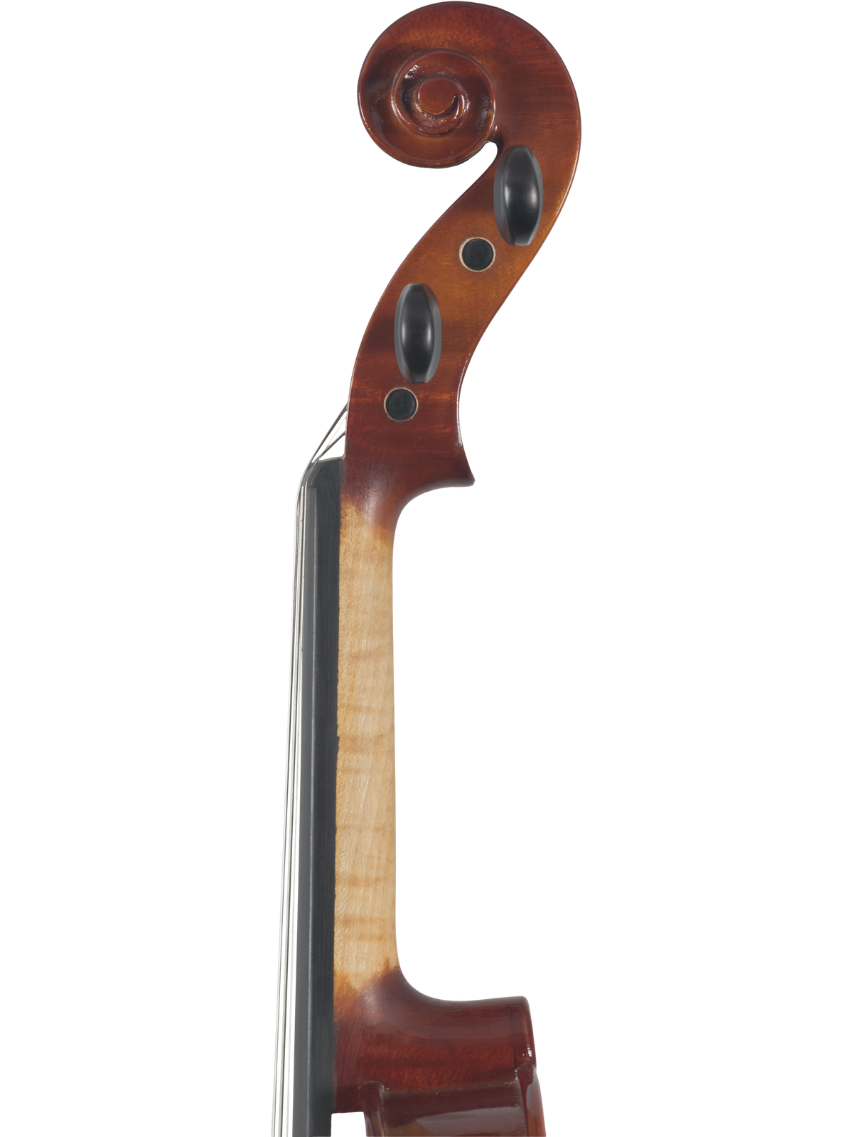 Maple Leaf Strings Model 120 Violin Outfit