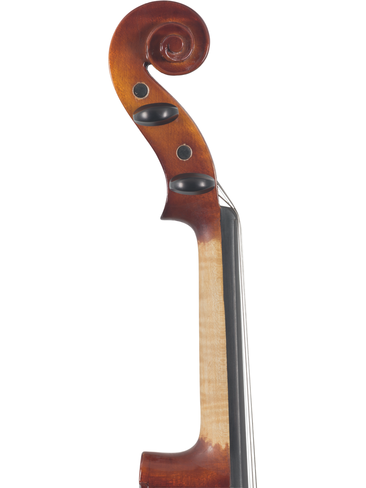 Maple Leaf Strings Model 120 Violin Outfit