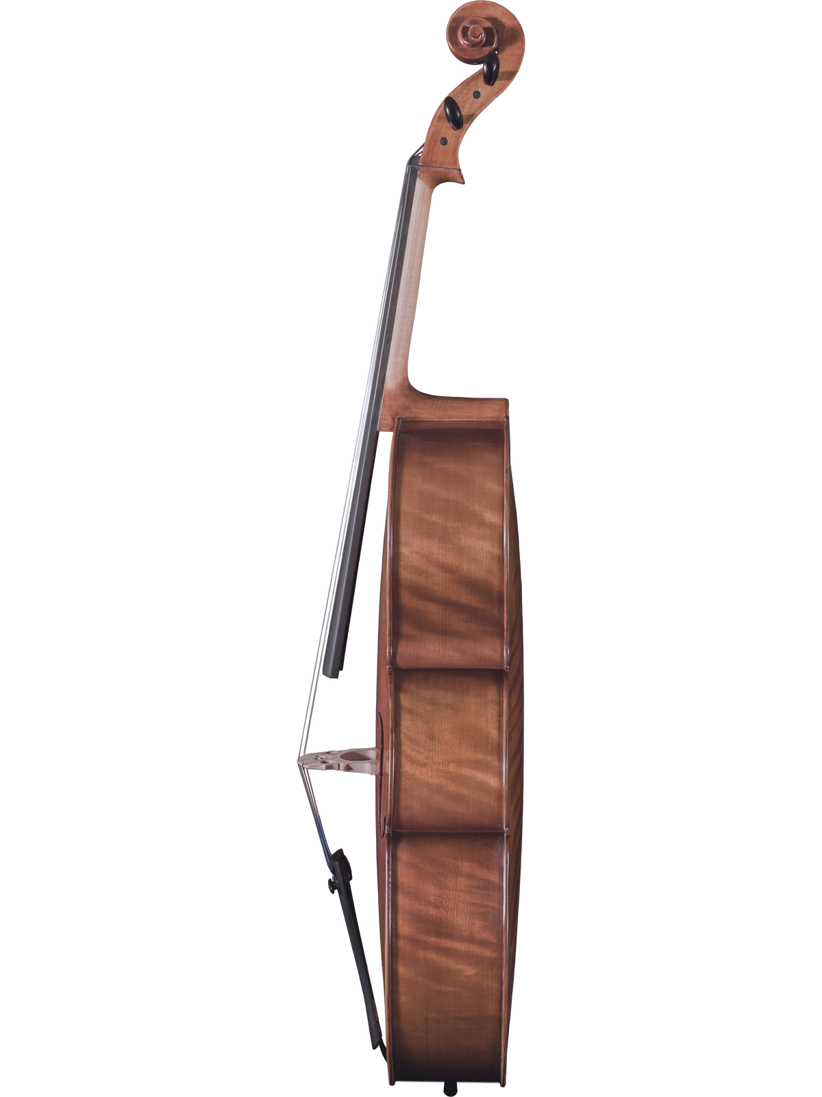 Maple Leaf Strings Model 130 Cello Outfit