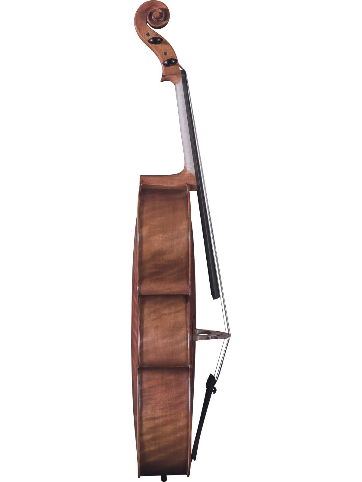 Maple Leaf Strings Model 130 Cello Outfit