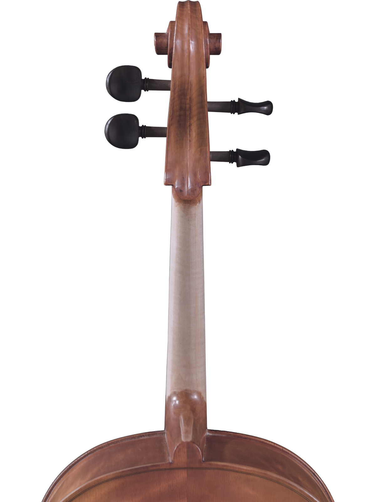 Maple Leaf Strings Model 130 Cello Outfit