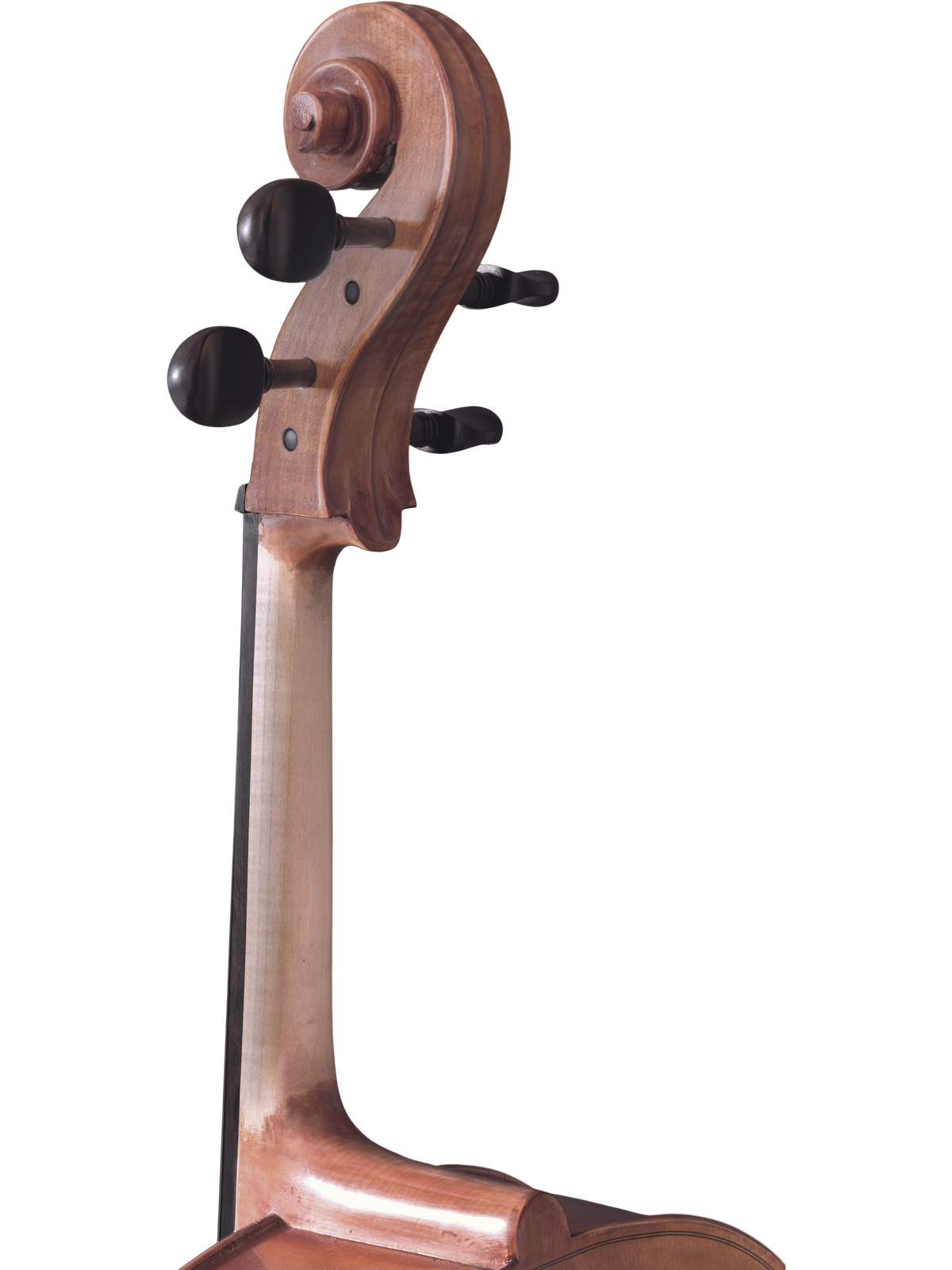 Maple Leaf Strings Model 130 Cello Outfit