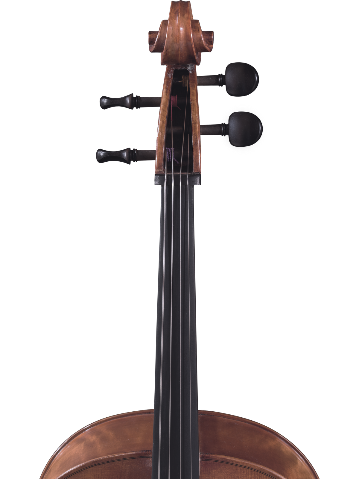 Maple Leaf Strings Model 130 Cello Outfit