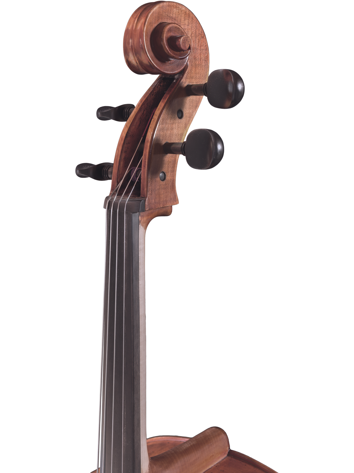 Maple Leaf Strings Model 130 Cello Outfit