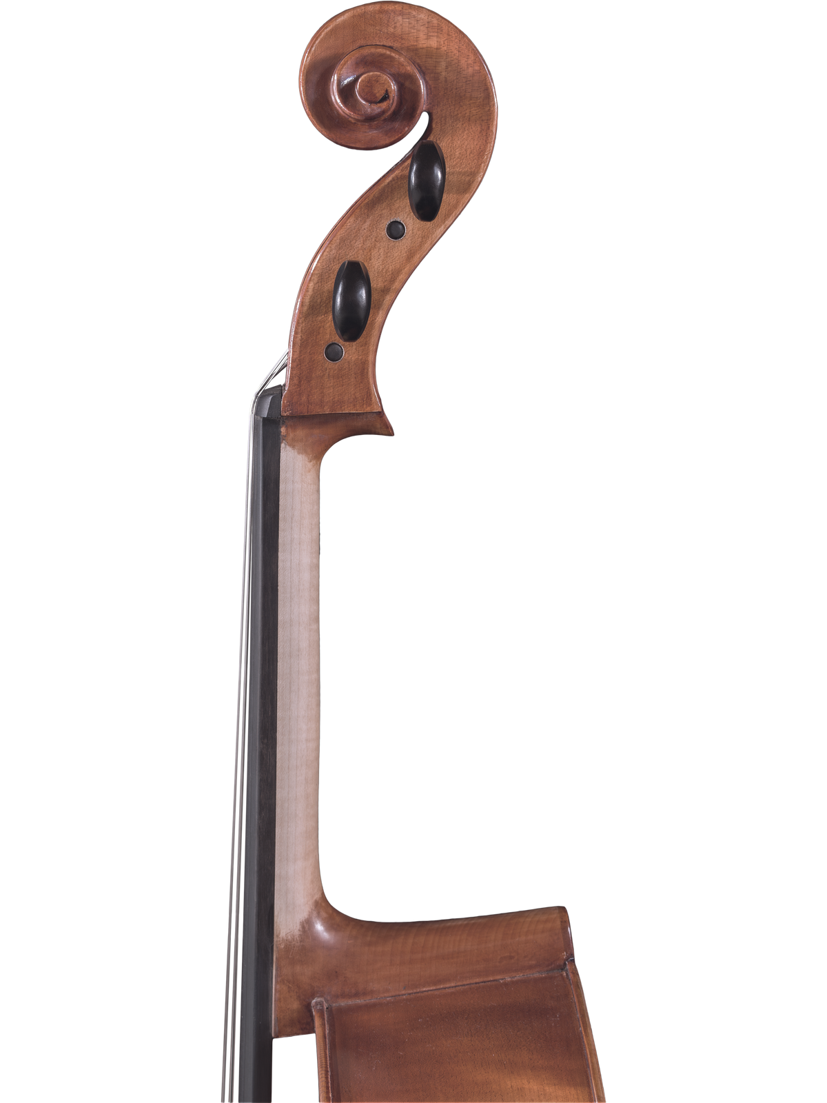 Maple Leaf Strings Model 130 Cello Outfit