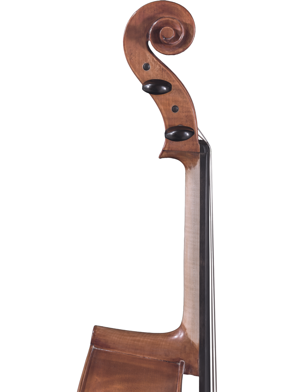 Maple Leaf Strings Model 130 Cello Outfit