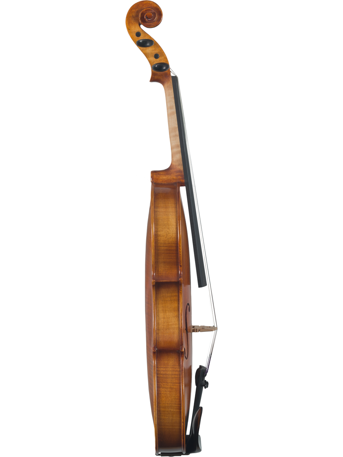 Maple Leaf Strings Model 130 Violin Outfit