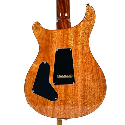 PRS Custom 24 10-Top - Electric Guitar - Eriza Verde