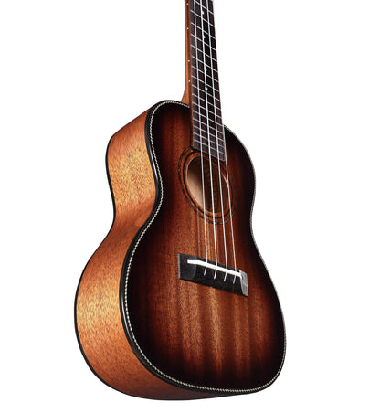 Alvarez - AU66CSHB