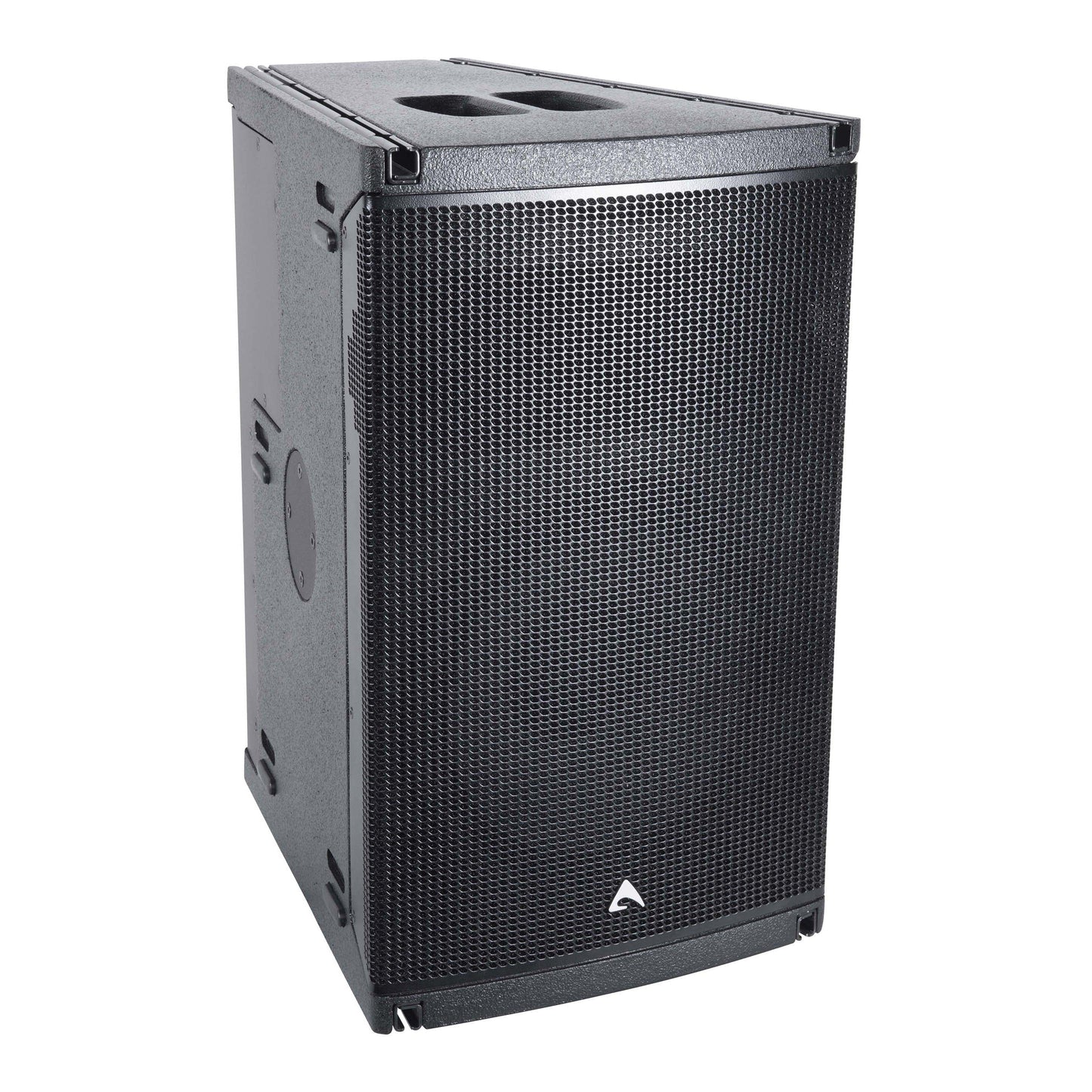 Axiom AX1012P 12", Passive, 2-way, Full-Range, Constant Curvature Array Element