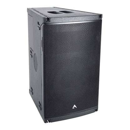Axiom AX1012P 12", Passive, 2-way, Full-Range, Constant Curvature Array Element