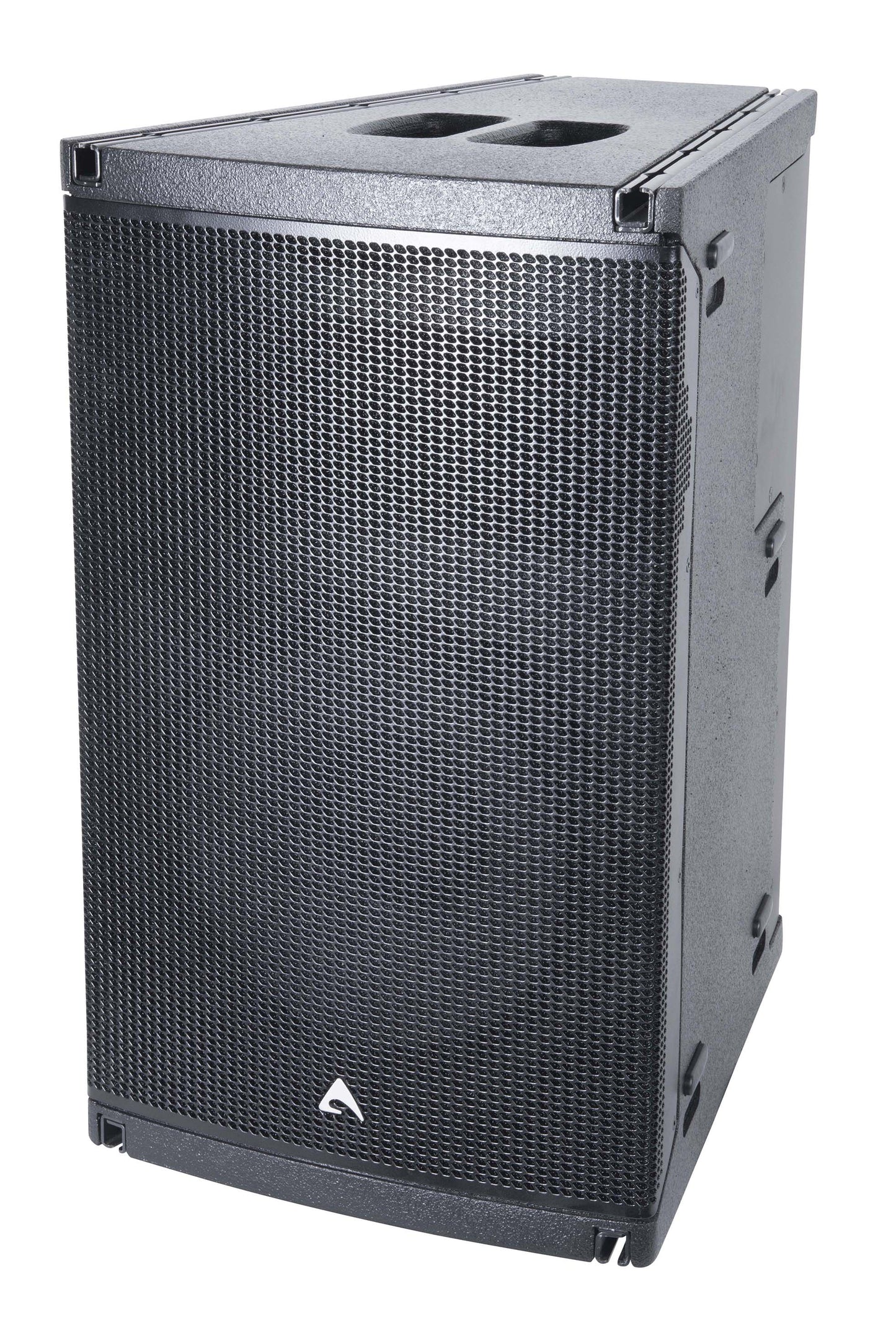 Axiom AX1012A 12" Active, 2-Way, Full-Range, CORE Processed, Powered, Constant Curvature Array Element (Black)