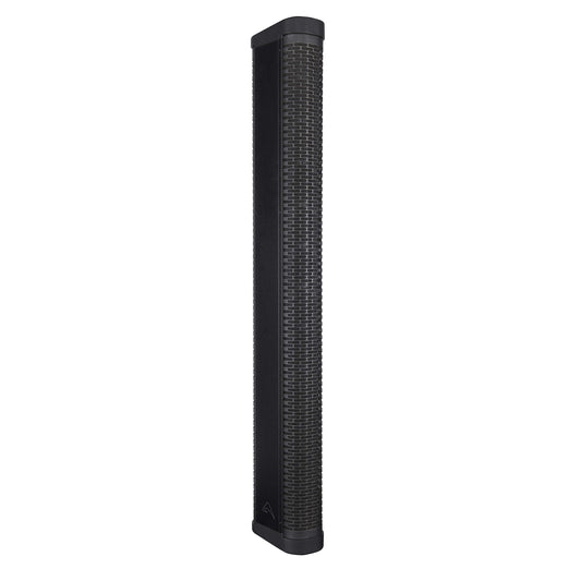 Axiom AX12C 12 x 3.5", Passive, High-Power, Portable Line Array Element (Black)
