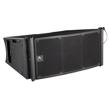 Axiom AX2010P Dual 10", Passive, High-Output, Vertical Array Element (Black)